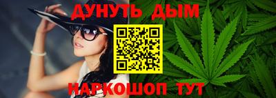 мдпв Бийск