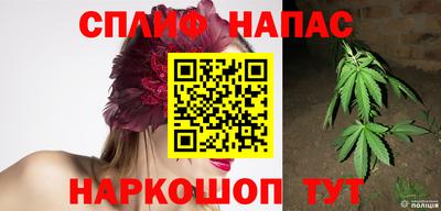 прущие грибы Беслан